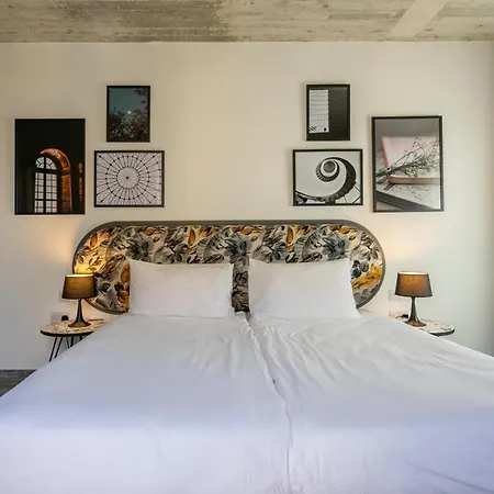 Lady Todd Hotel 3*